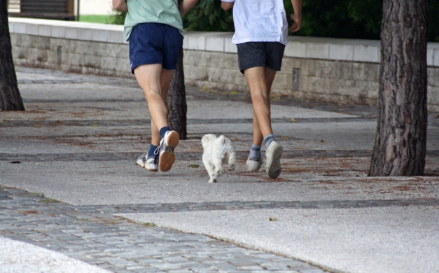 FitBits – Are They Worth It?